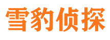 大余市场调查